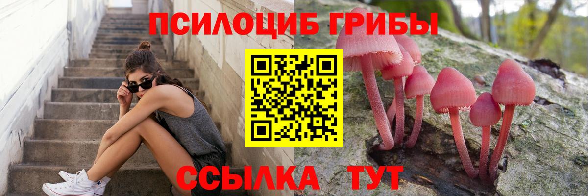Псилоцибиновые грибы прущие грибы  Вход с VPN  Пыть-Ях  Псилоцибиновые грибы Psilocybine cubensis 